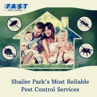 Pest Control Shailer Park image 1